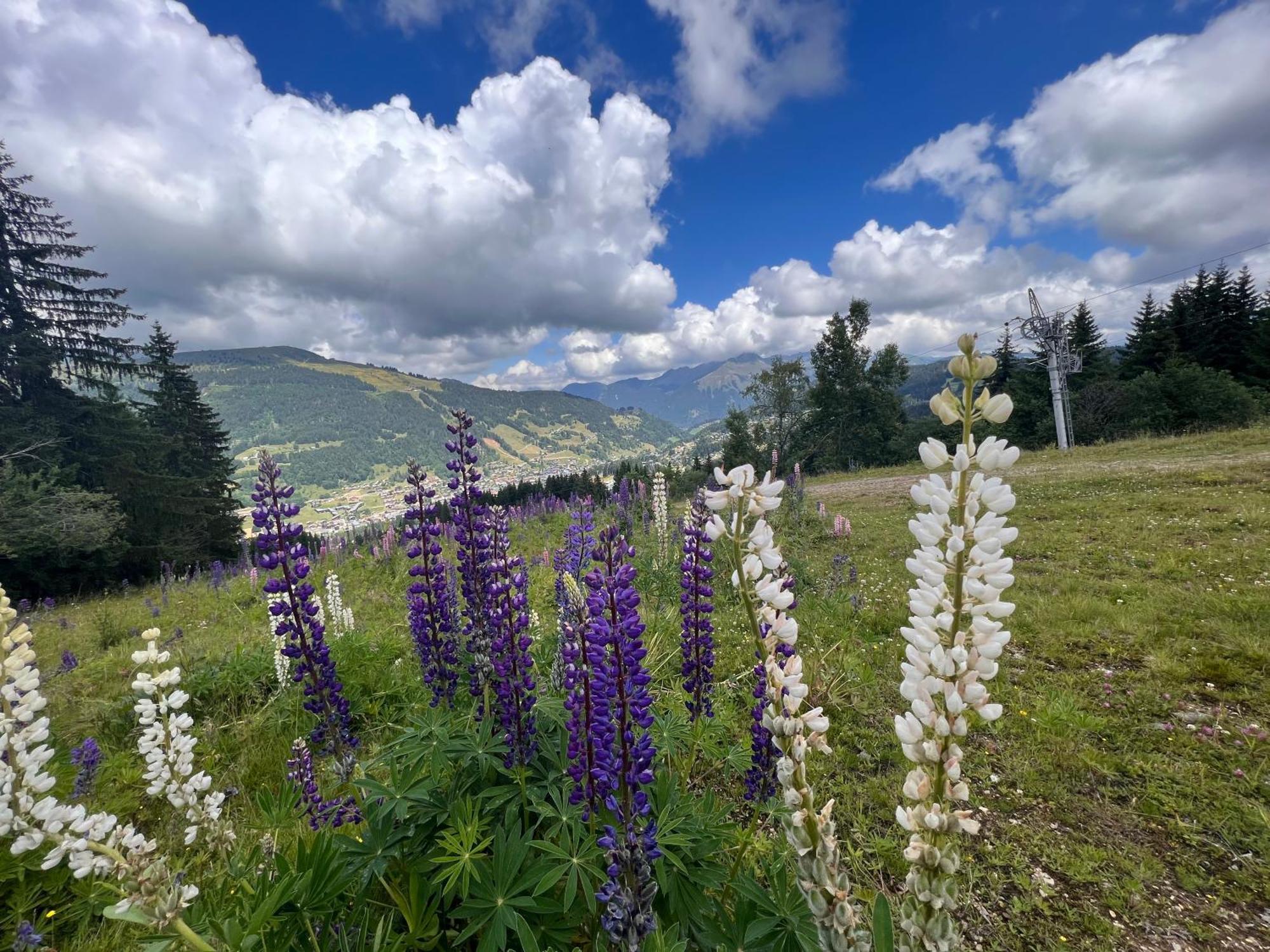 Chalet Aventure B&B レ・ジェ エクステリア 写真